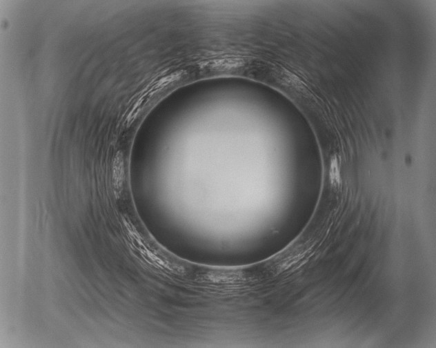 X0000057041299200509161429