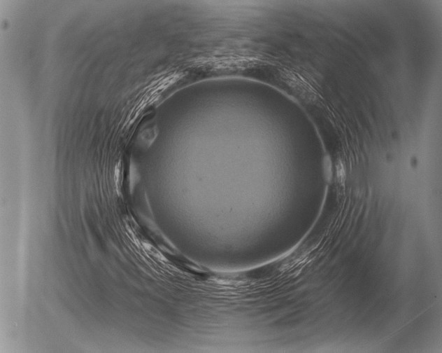 X0000057041300200509161429