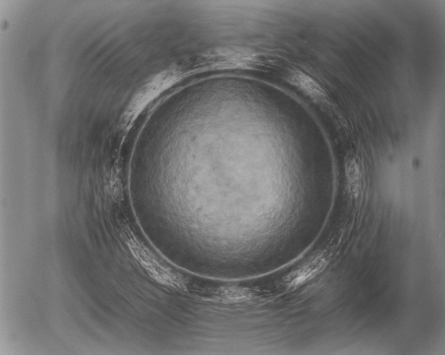 X0000057041308200509161429