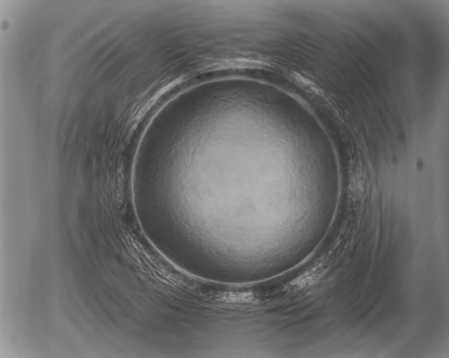 X0000057041313200509161429