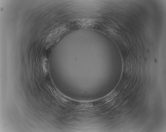 X0000057041346200509161429