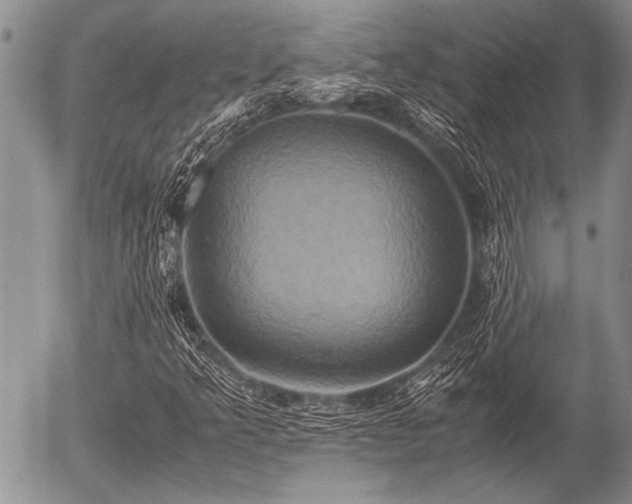 X0000057041349200509161429