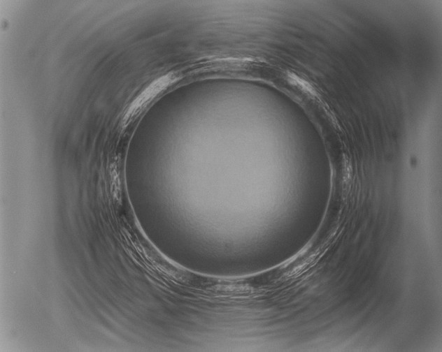 X0000057041354200509161429