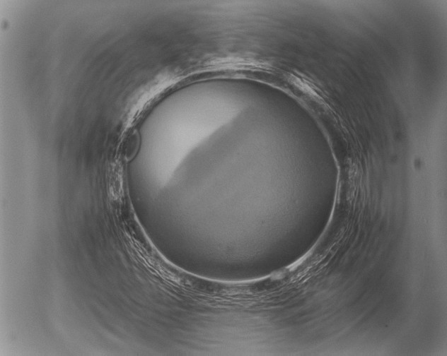 X0000057041358200509161428