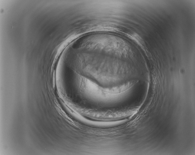 X0000057041371200509161428