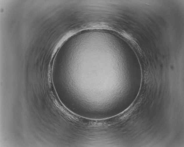 X0000057041374200509161428
