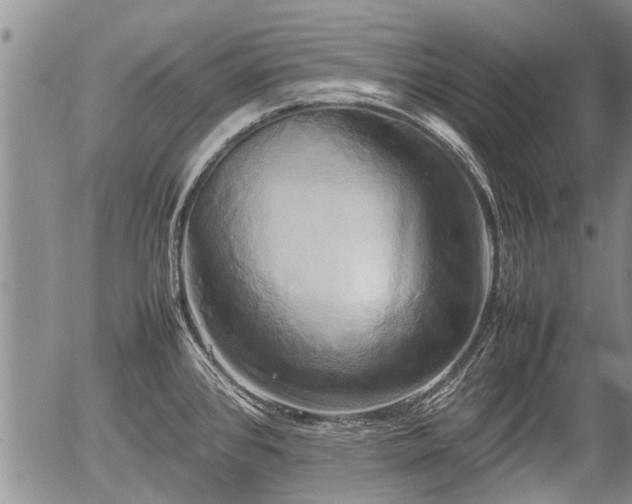 X0000057041384200509161428