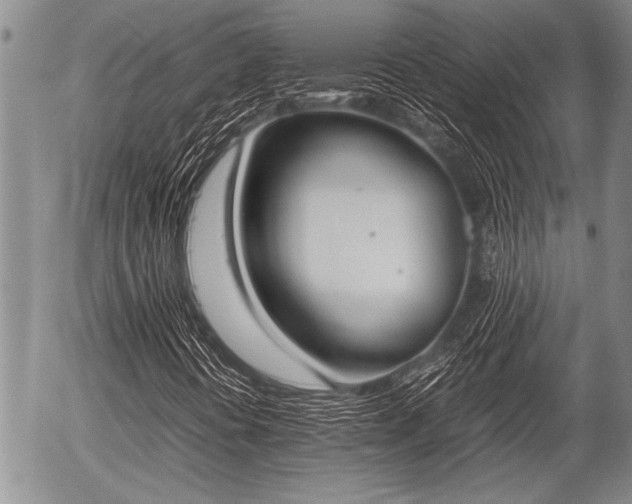 X0000057041394200509161427