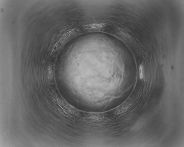 X0000057041395200509161427