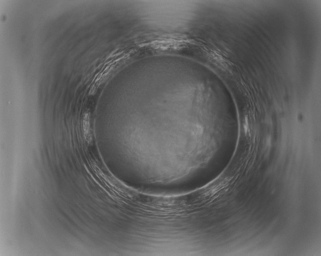 X0000057041396200509161427