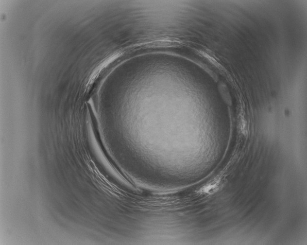 X0000057041402200509161427