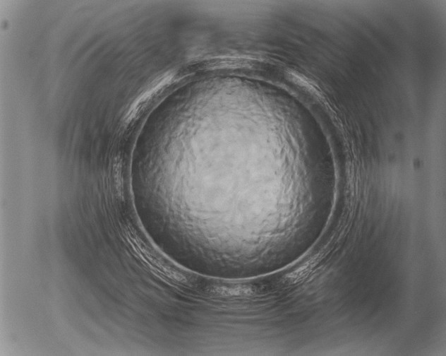 X0000057041403200509161427