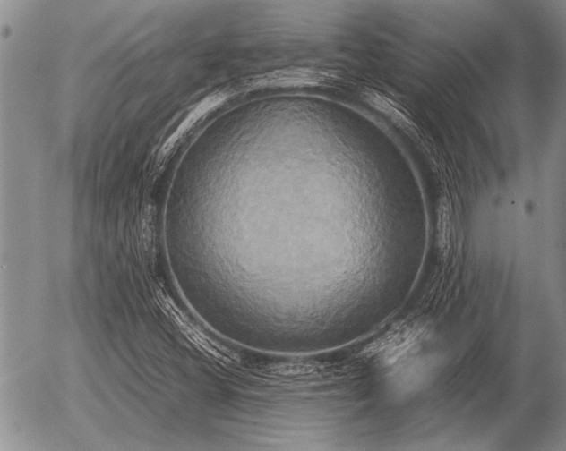 X0000057041404200509161427