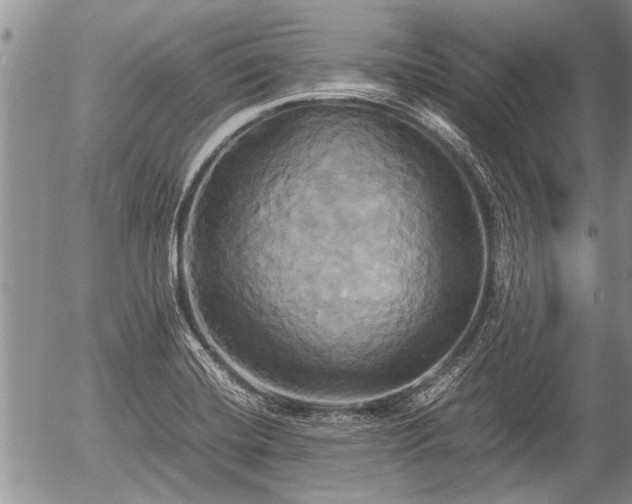 X0000057041420200509161428
