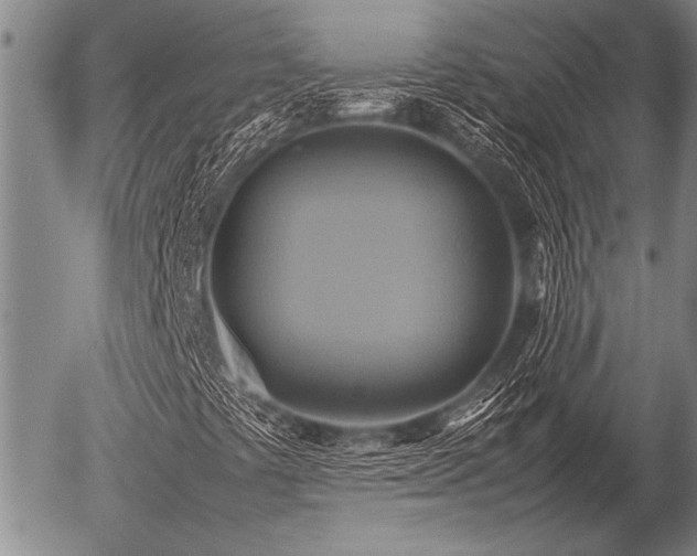 X0000057041441200509161427
