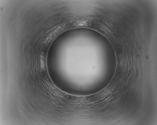 X0000057041442200509161427