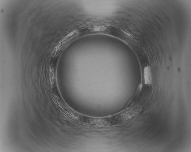 X0000057041443200509161427