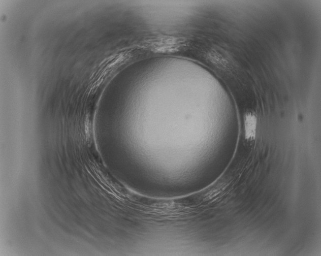 X0000057041444200509161427