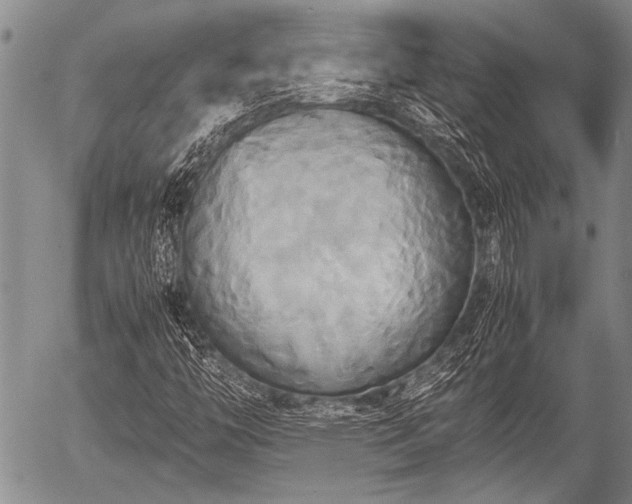 X0000057041446200509161427