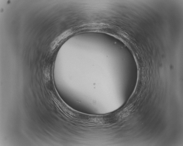 X0000057041451200509161427