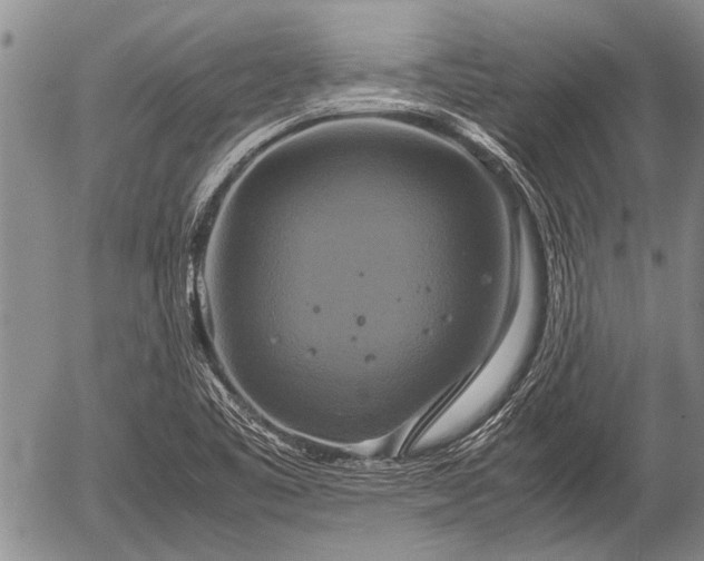 X0000057041461200509161427