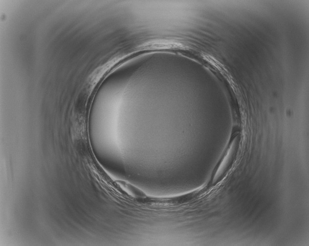 X0000057041465200509161427