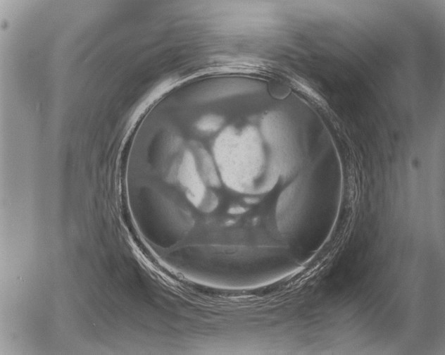 X0000057041471200509161427