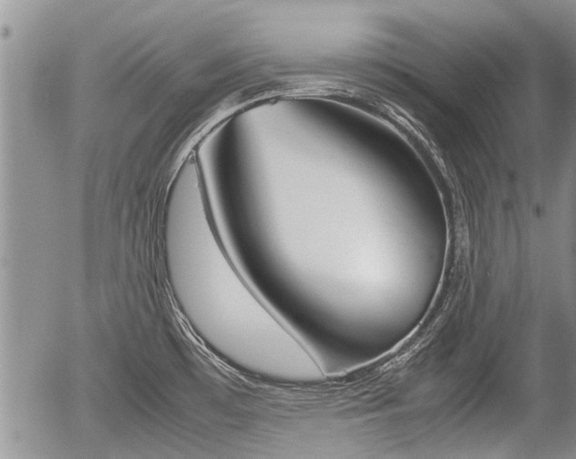 X0000057041481200509161426