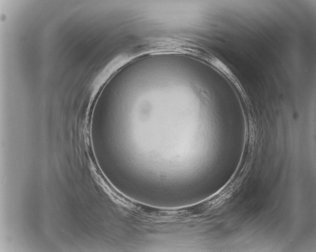 X0000057041485200509161426