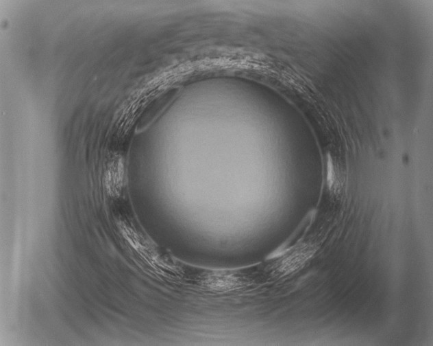 X0000057041492200509161426