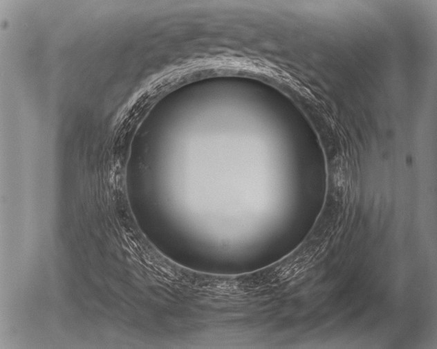 X0000057041495200509161426