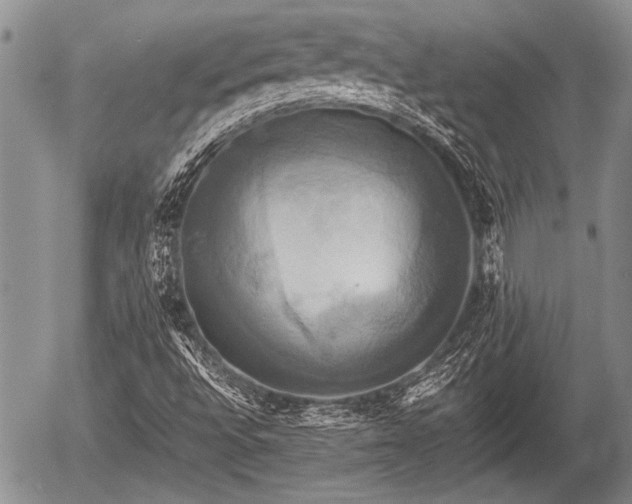 X0000057041496200509161426