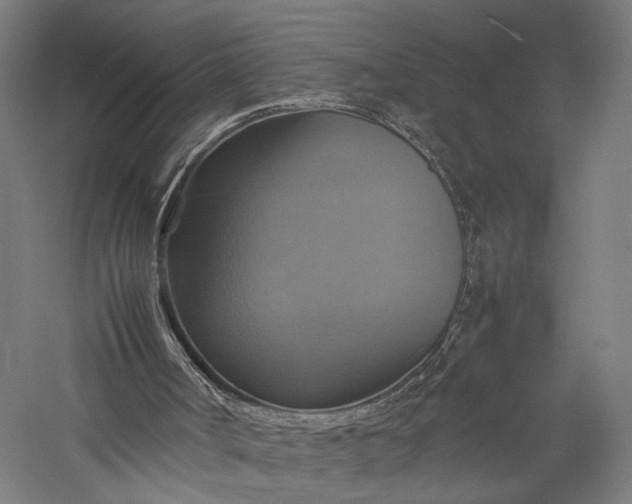 X0000057040002200509231459