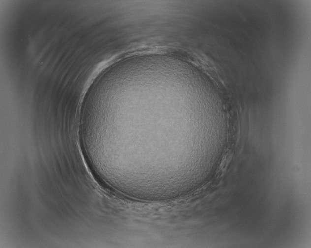 X0000057040003200509231459