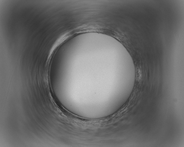 X0000057040004200509231459