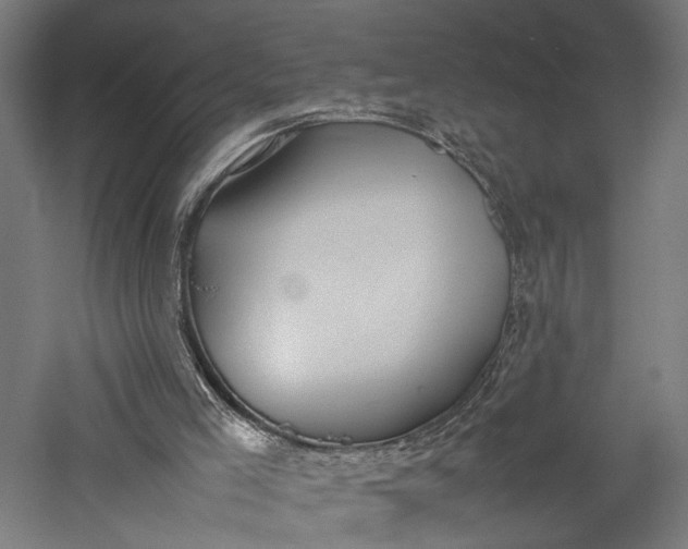 X0000057040005200509231459