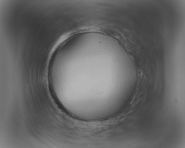 X0000057040006200509231459
