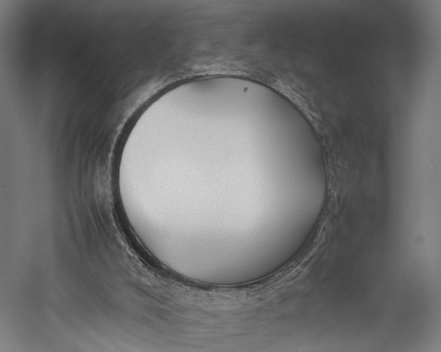 X0000057040008200509231459