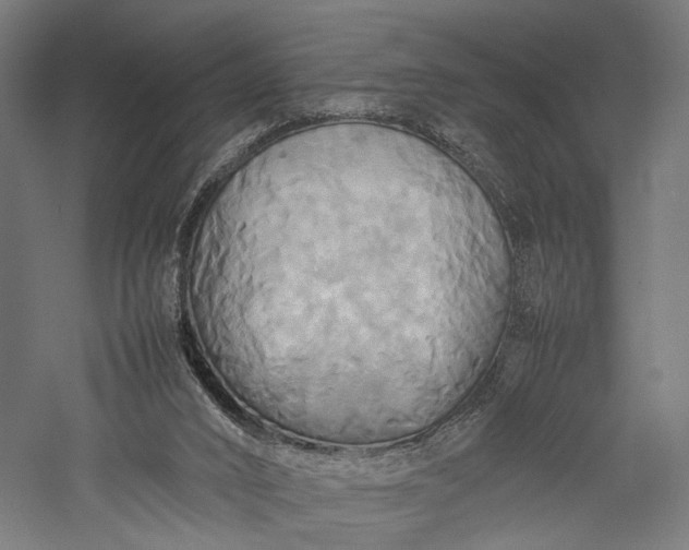 X0000057040016200509231459