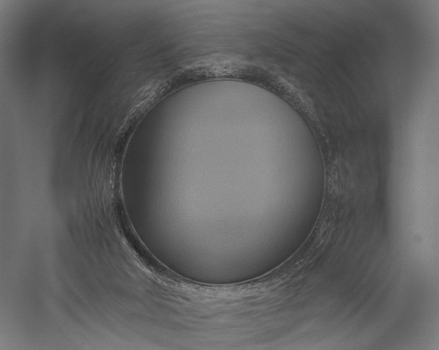X0000057040018200509231459