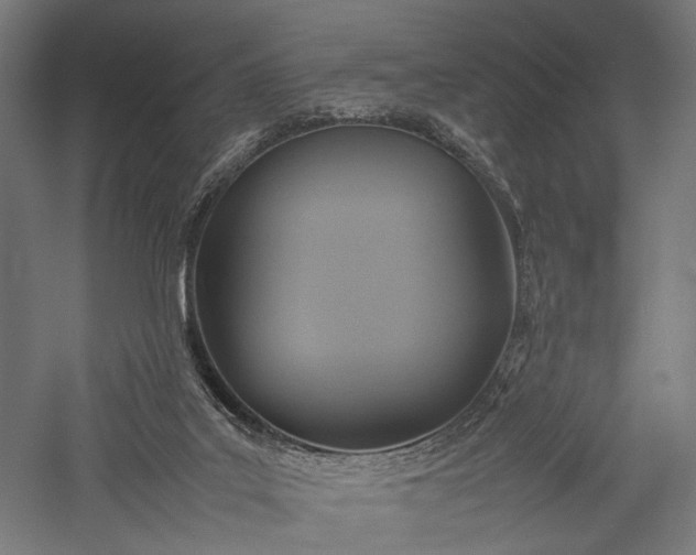 X0000057040019200509231459