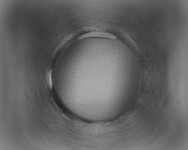 X0000057040020200509231459