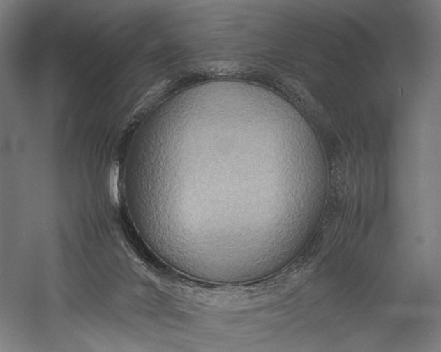 X0000057040024200509231459