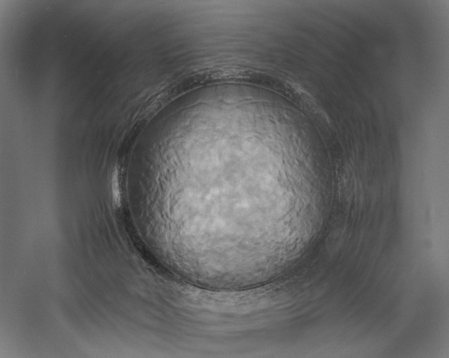 X0000057040026200509231459