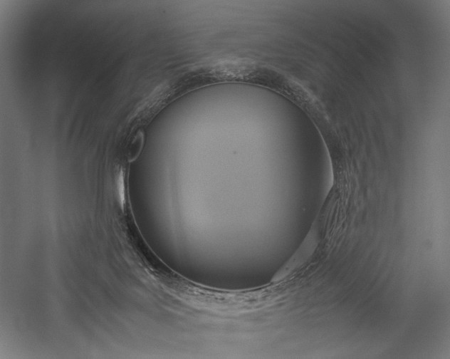 X0000057040027200509231459