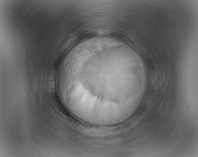 X0000057040032200509231459