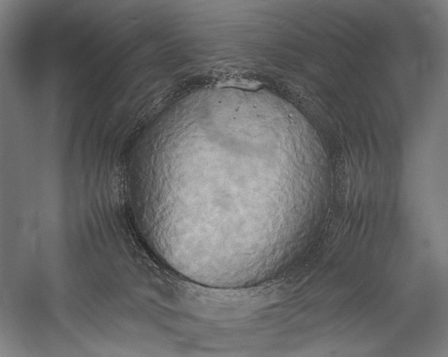 X0000057040034200509231458