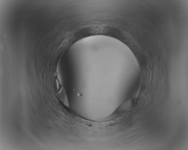 X0000057040035200509231458