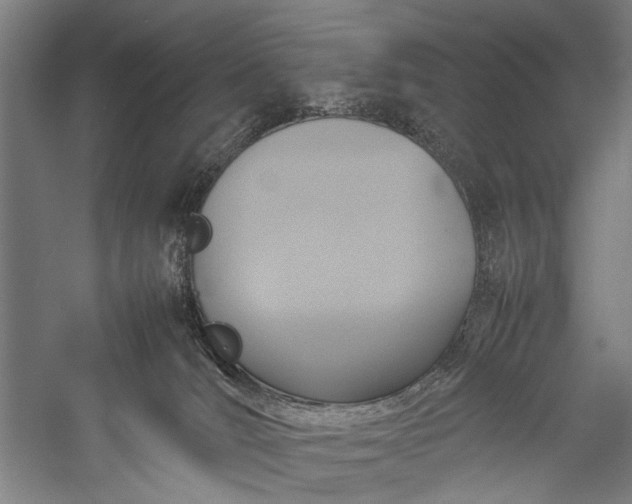 X0000057040036200509231458
