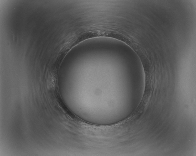 X0000057040039200509231458
